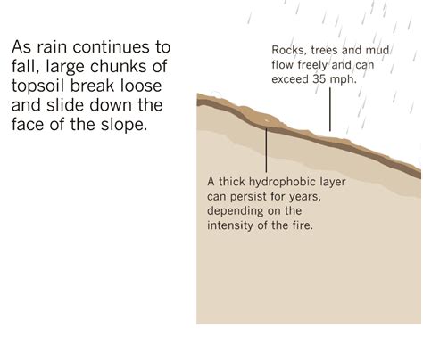 2 Agents That Form Mudslides