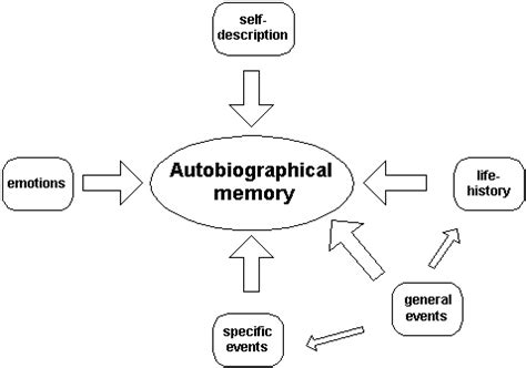 3 Ways Autobiographical Memory Impacts Your Life