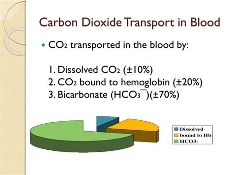 3 Ways Co2 Is Transported In Blood