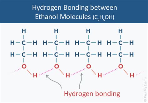 3 Ways Ethanol Forms Hydrogen Bonds