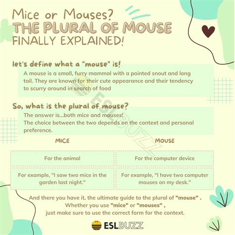 3 Ways To Write Plural Computer Mouse