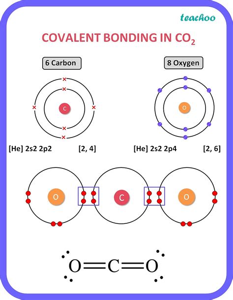 4 Covalent Bonds Per Carbon Atom: What You Need Know