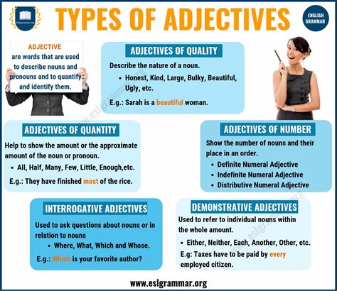 5 Adjective Forms Of Vein You Need To Know