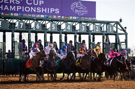 5 Breeders Cup Tips From Daily Racing Form