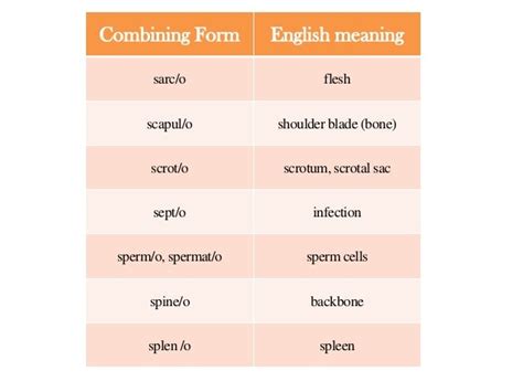 5 Chest-Related Combining Forms To Know