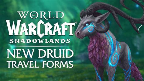 5 Druid Travel Form Appearances You Need To See