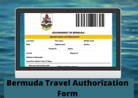 5 Easy Steps To Bermuda Government Travel Authorization Form