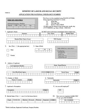 5 Easy Steps To Complete Jamaica Nis Application Form