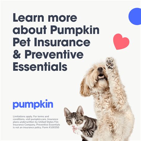 5 Easy Steps To File A Pumpkin Pet Insurance Claim