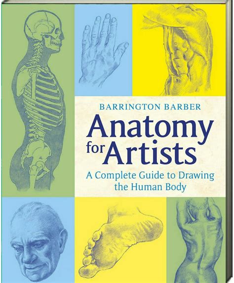 5 Elements Of Human Anatomy For Artists