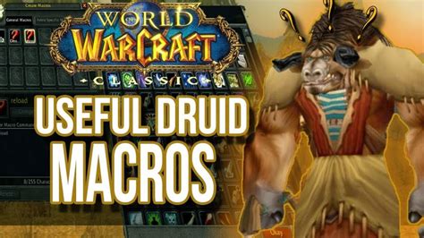 5 Essential Druid Form Macros