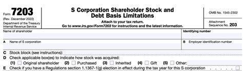 5 Essential Tips For Form 7203 Stock Block Instructions