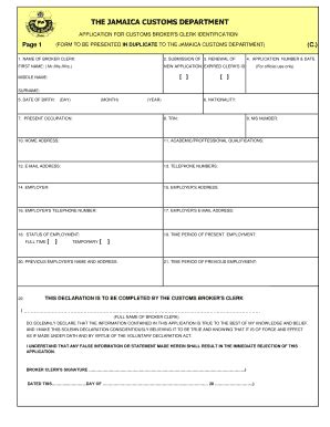 5 Essentials For Jamaica Customs Form