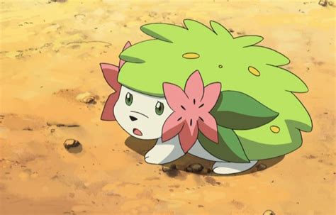 5 Facts About Shaymin Flying Form