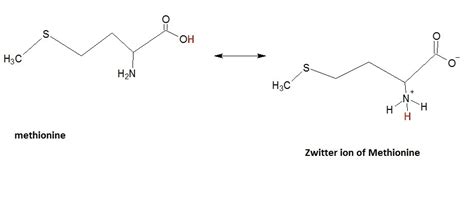 5 Key Facts About Methionine Zwitterion Form