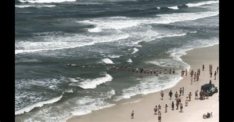 5 Lines Beachgoers Form At The Beach