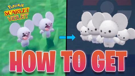 5 Rare Mouse Form PokéMon You Need