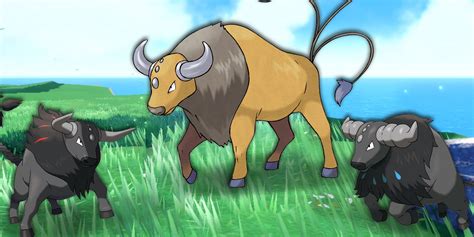 5 Regional Forms Of Tauros In PokéMon