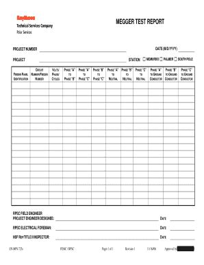 5 Steps For A Megger Test Form