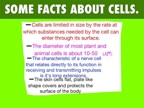 5 Surprising Facts About Cell 1st Form