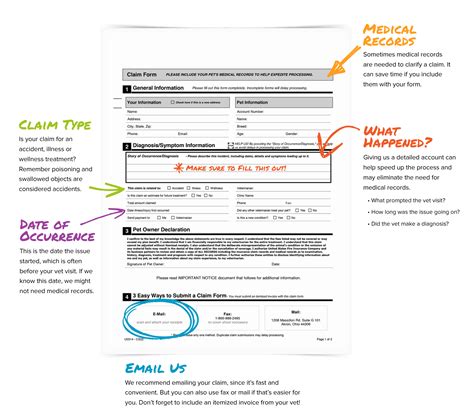 5 Tips For Filing Igg Settlement Claim Form