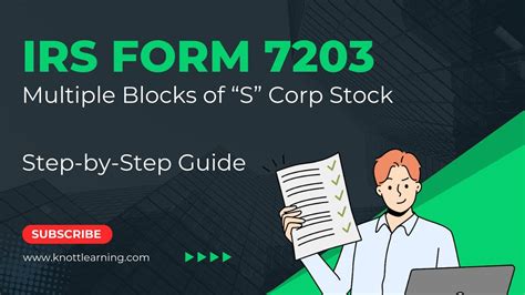 5 Tips For Filing Irs Form 7203 Stock Block