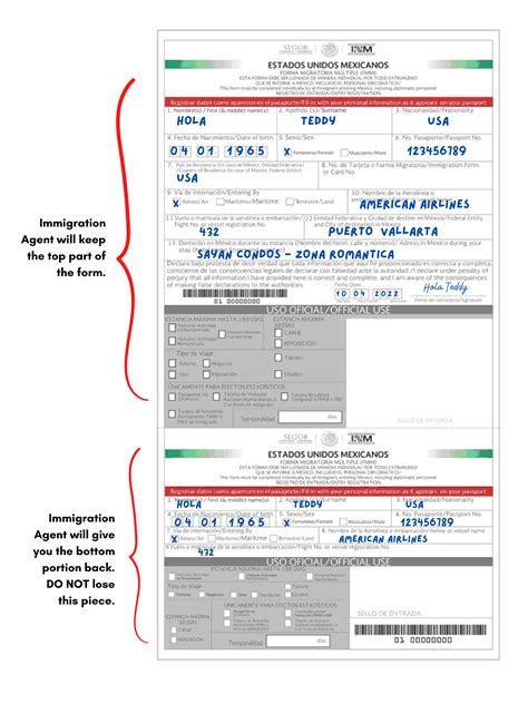 5 Tips For Filling Out Mexico Customs Form In Puerto Vallarta