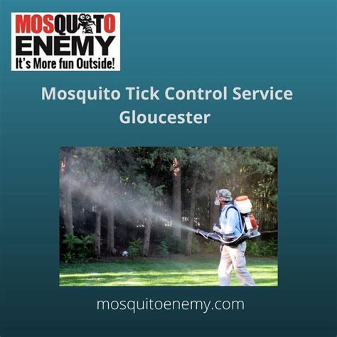 5 Tips For Gloucester County Mosquito Treatment