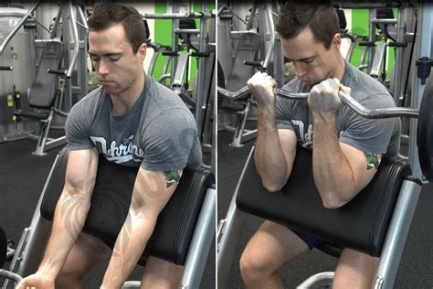 5 Tips For Perfect Preacher Curl Form