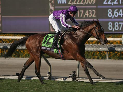 5 Tips To Master Breeders Cup Race Form