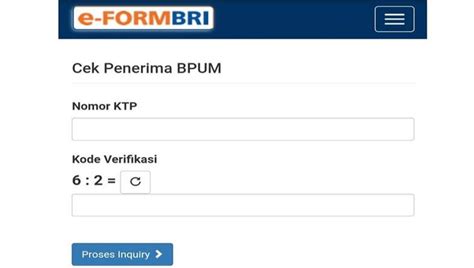 5 Tips To Master Eform Bri