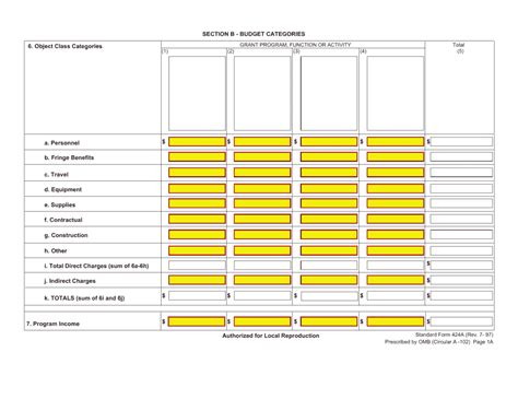 5 Tips To Master The Sf424 Budget Form