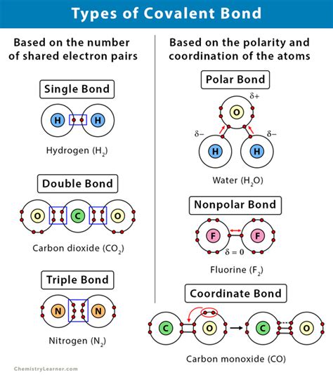 5 Types Of Atoms That Form Covalent Bonds