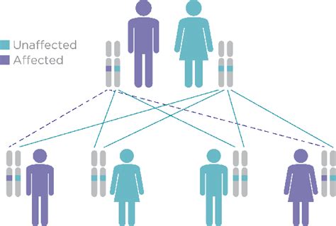 5 Types Of Pkd Autosomal Dominant Form