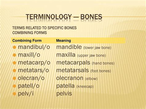 5 Ways Bone Combining Forms Impact Medical Terms