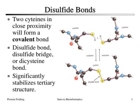 5 Ways Disulfide Bonds Form