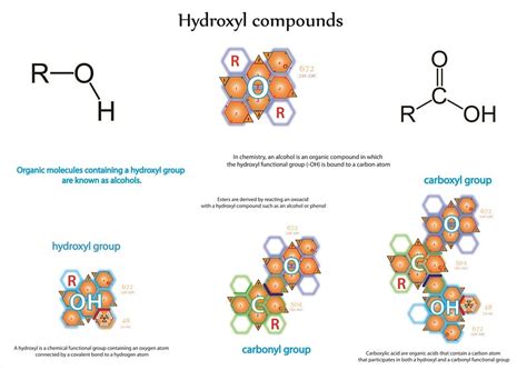 5 Ways Hydroxyl Groups Form Hydrogen Bonds