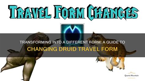 5 Ways To Change Druid Flight Form