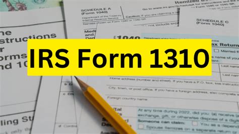 5 Ways To File Form 1310