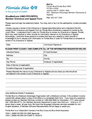 5 Ways To Fill Fl Blue Appeal Form