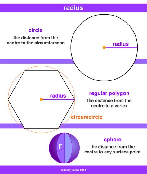 5 Ways To Form Plural Of Radius