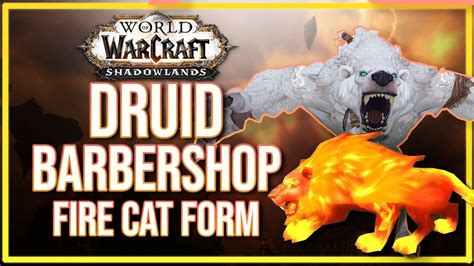 5 Ways To Master Flame Druid Cat Form