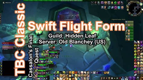 5 Ways To Master Swift Flight Form In Tbc