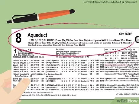 5 Ways To Read Daily Racing Form Entries