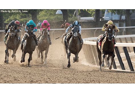 5 Ways To Win With Daily Racing Form Belmont Stakes