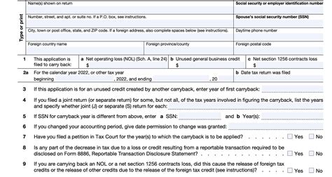 6 Essential Form 1045 Filing Instructions