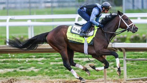 6 Essential Kentucky Derby Racing Form Tips