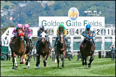 6 Ways To Read Golden Gate Fields Racing Form