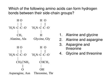 7 Amino Acids That Form Hydrogen Bonds