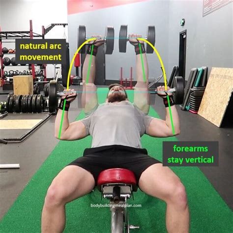 7 Tips For Perfect Db Incline Press Form